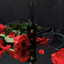 roses reed diffuser ZENZAR Beauty
