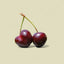 Cherry Hand Wash ZENZAR