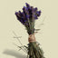 LAVENDER CALM (Relaxing oil)